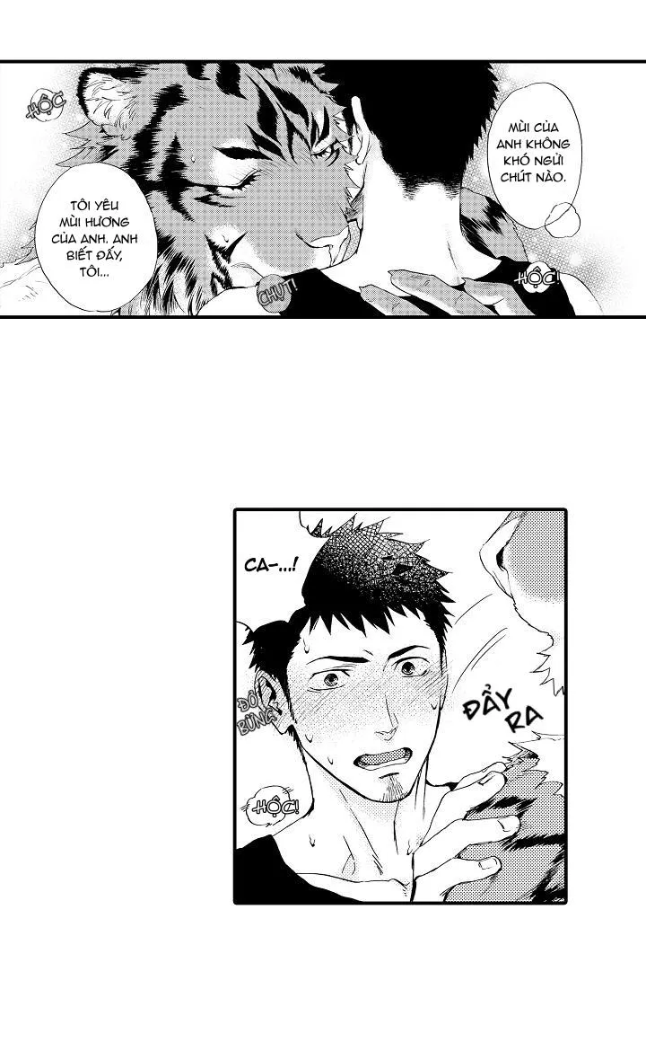 HỔ CÁI CỦA TAIGA Chapter 4 Trang 19