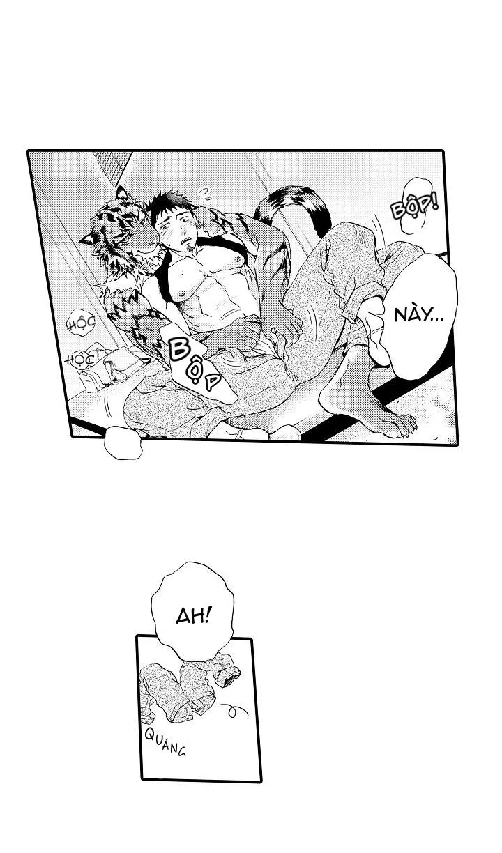 HỔ CÁI CỦA TAIGA Chapter 4 Trang 27