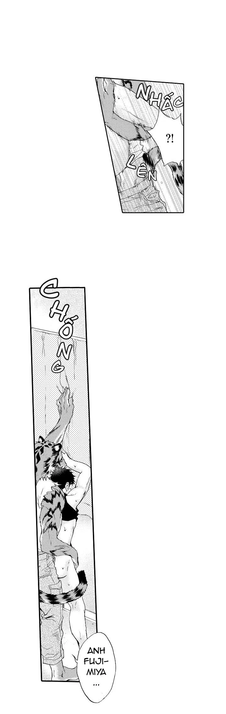 HỔ CÁI CỦA TAIGA Chapter 4 Trang 30