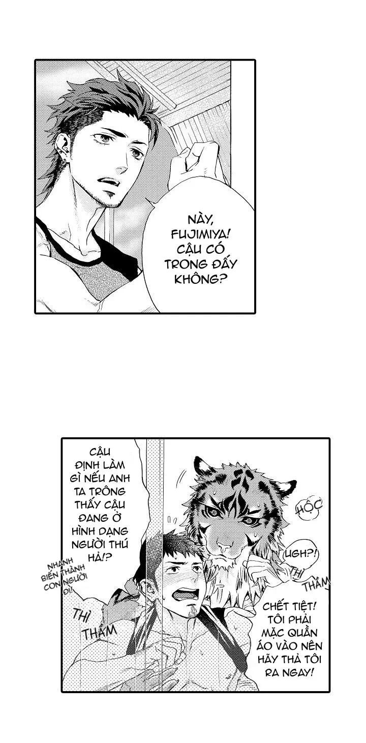 HỔ CÁI CỦA TAIGA Chapter 4 Trang 33