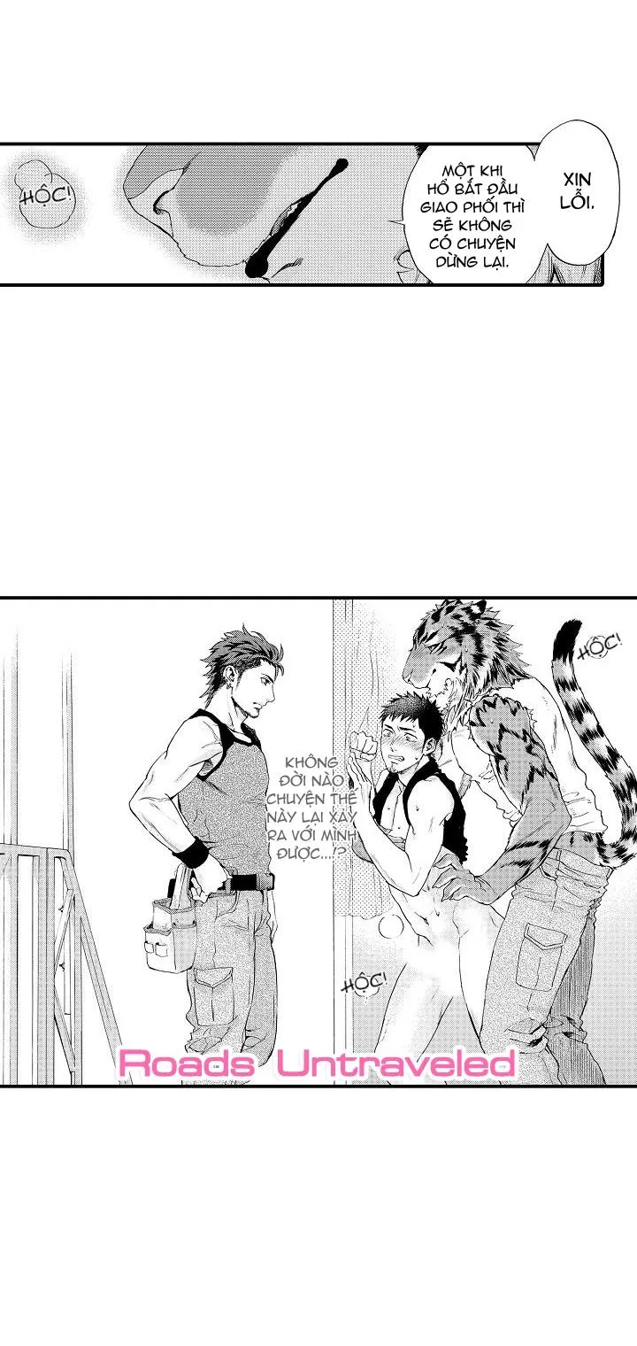 HỔ CÁI CỦA TAIGA Chapter 4 Trang 34