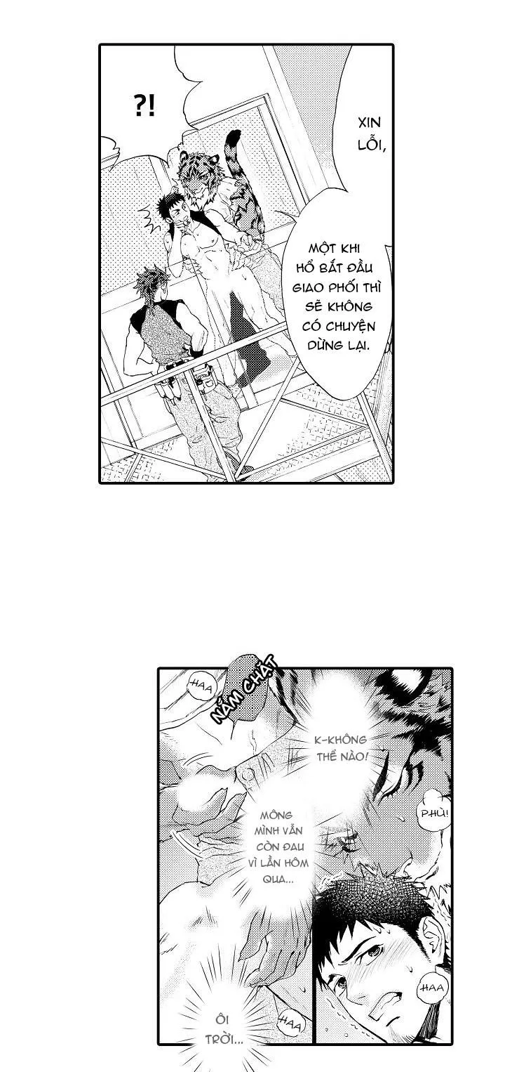 HỔ CÁI CỦA TAIGA Chapter 5 Trang 3