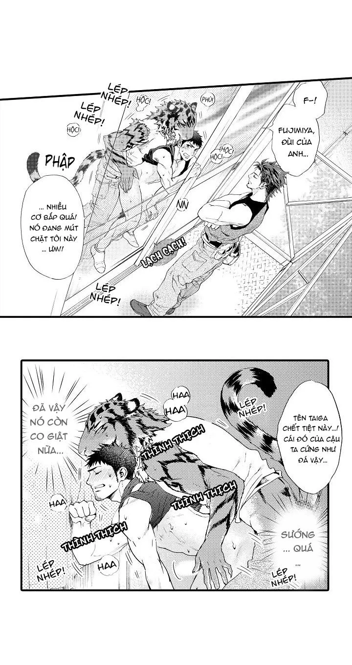 HỔ CÁI CỦA TAIGA Chapter 5 Trang 6