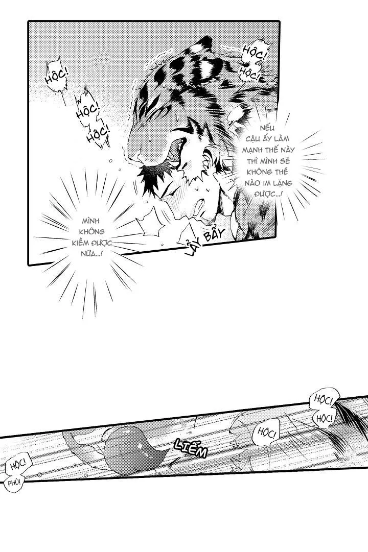 HỔ CÁI CỦA TAIGA Chapter 5 Trang 11