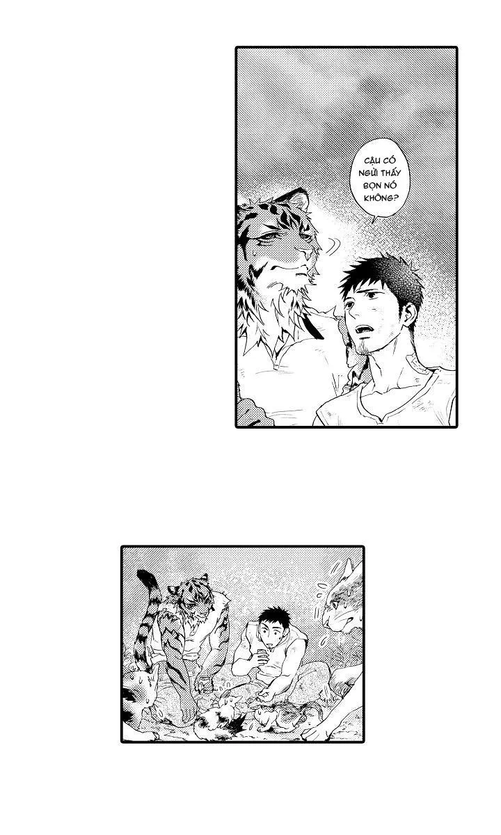 HỔ CÁI CỦA TAIGA Chapter 5 Trang 32