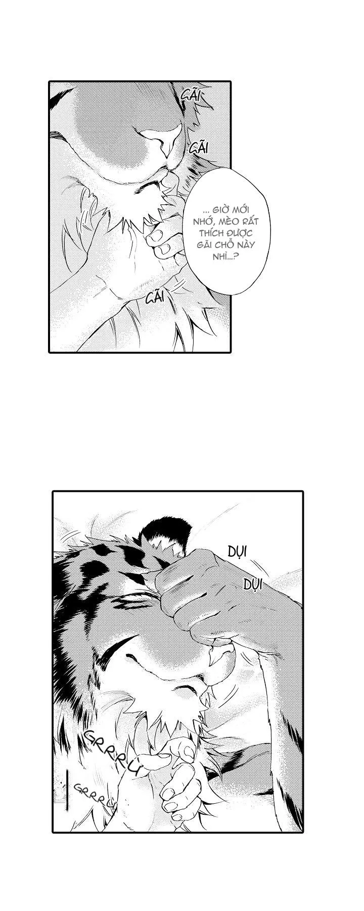 HỔ CÁI CỦA TAIGA Chapter 6 Trang 8