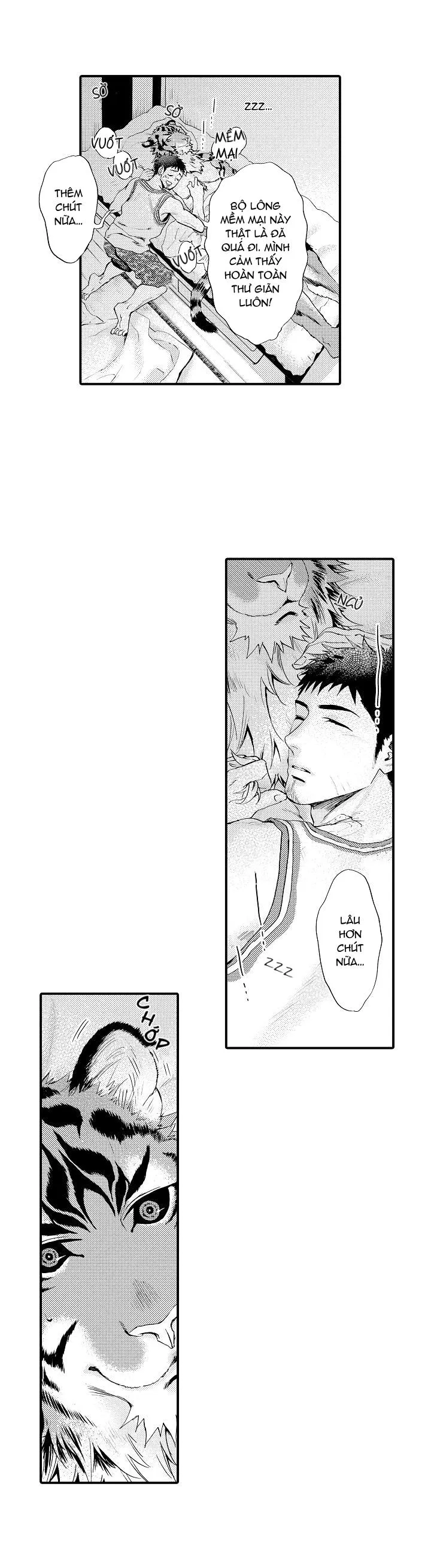 HỔ CÁI CỦA TAIGA Chapter 6 Trang 10