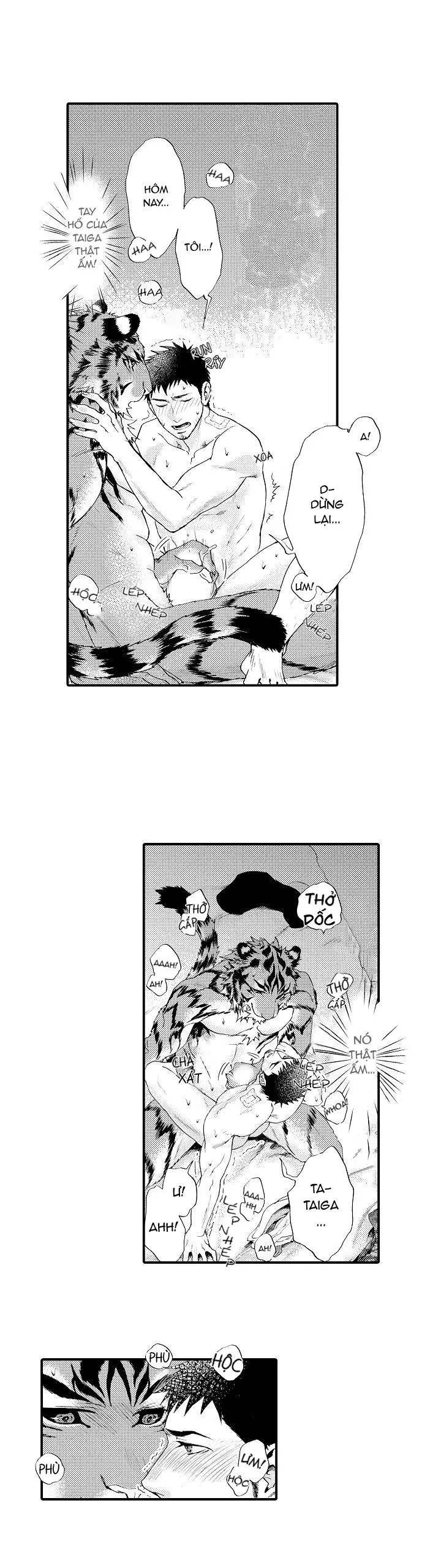 HỔ CÁI CỦA TAIGA Chapter 6 Trang 23