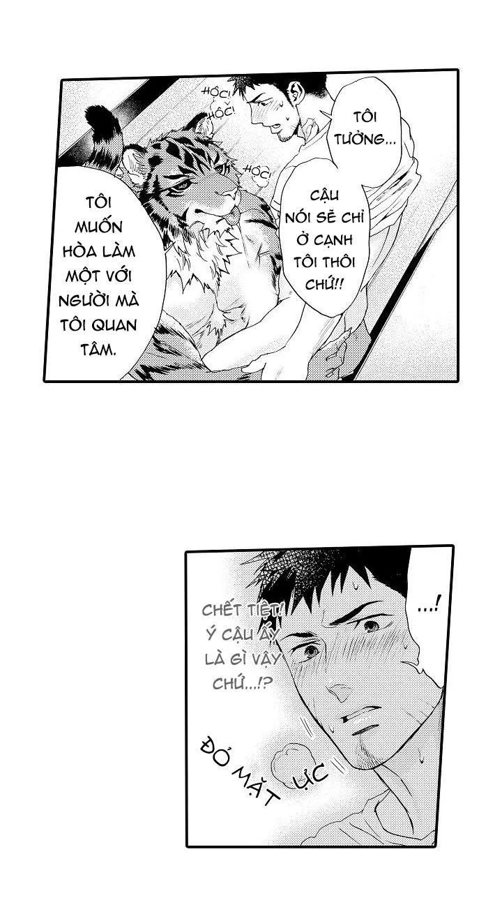 HỔ CÁI CỦA TAIGA Chapter 8 Trang 25