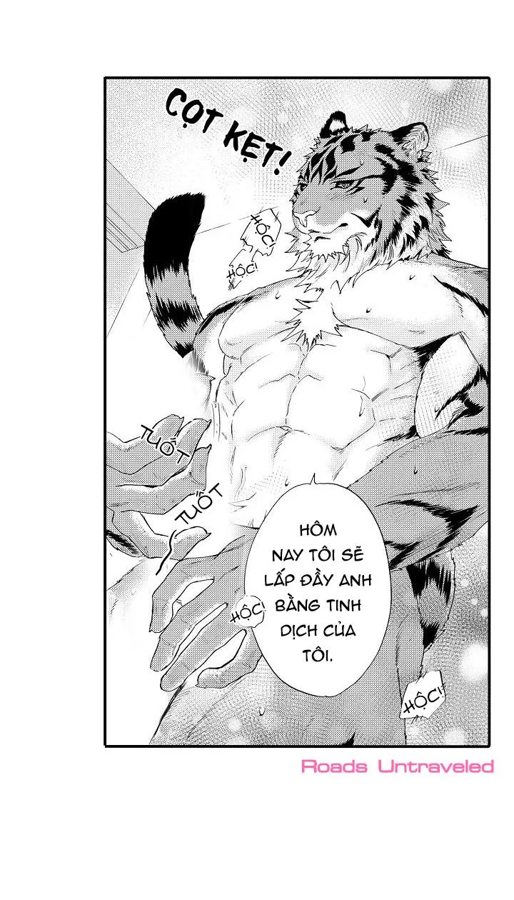 HỔ CÁI CỦA TAIGA Chapter 8 Trang 26