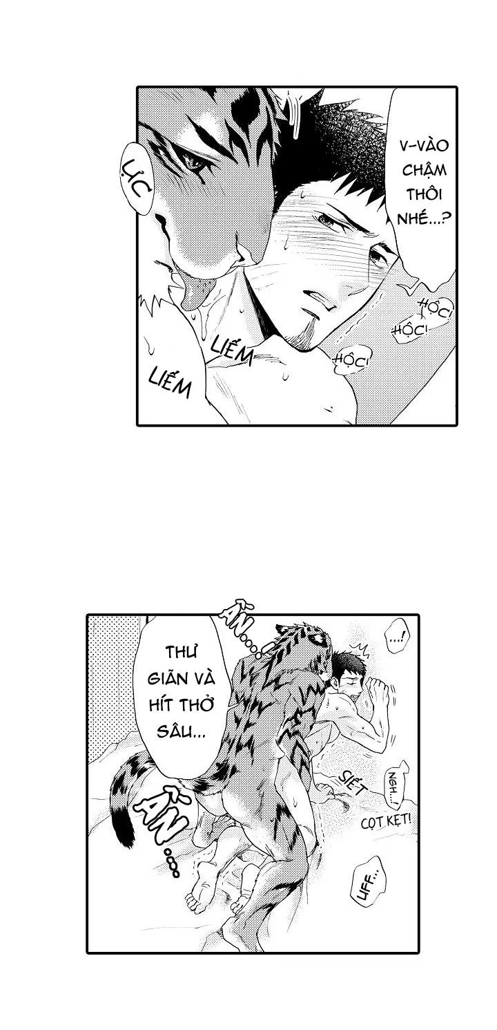 HỔ CÁI CỦA TAIGA Chapter 8 Trang 28