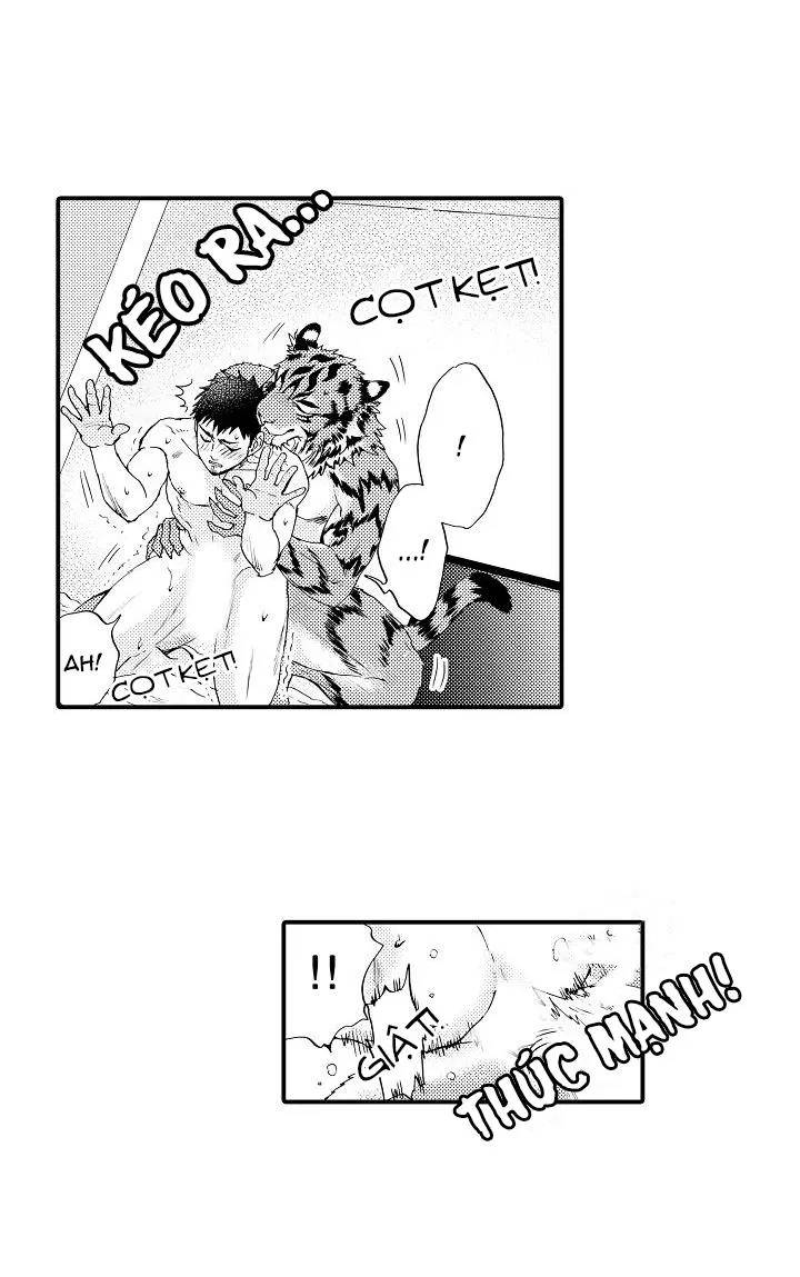 HỔ CÁI CỦA TAIGA Chapter 8 Trang 29