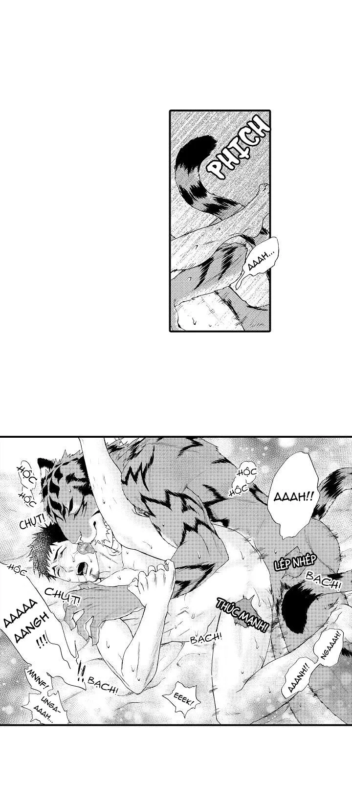 HỔ CÁI CỦA TAIGA Chapter 8 Trang 32