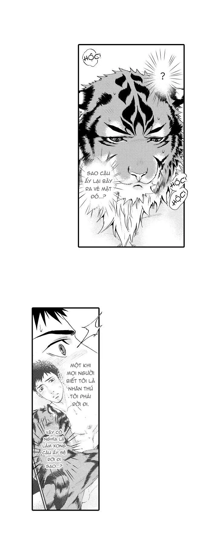 HỔ CÁI CỦA TAIGA Chapter 8 Trang 33