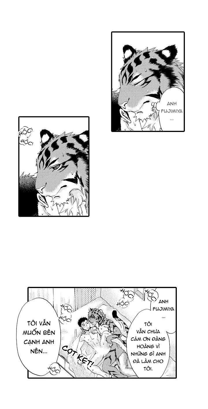 HỔ CÁI CỦA TAIGA Chapter 8 Trang 36