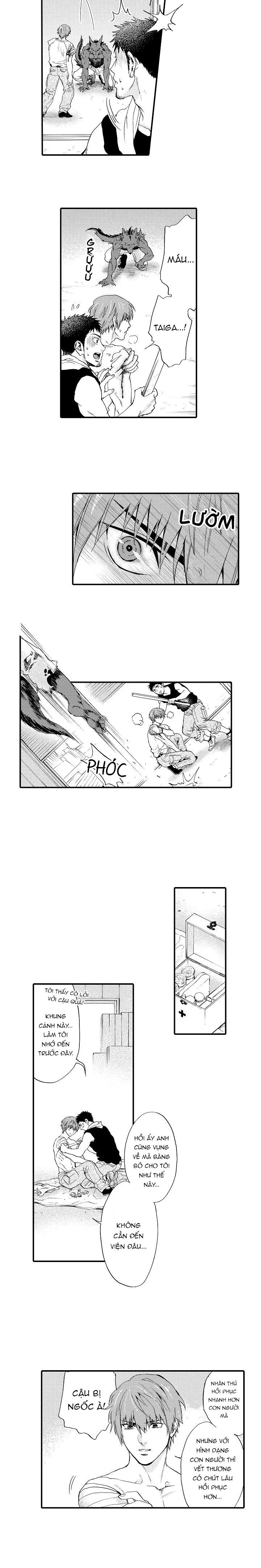 HỔ CÁI CỦA TAIGA Chapter 12 Trang 3