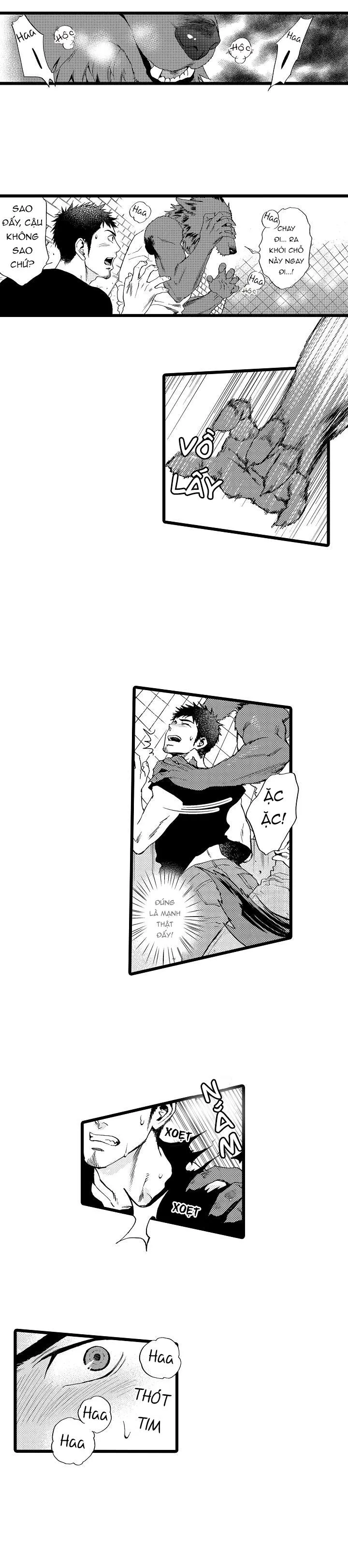 HỔ CÁI CỦA TAIGA Chapter 13 Trang 12