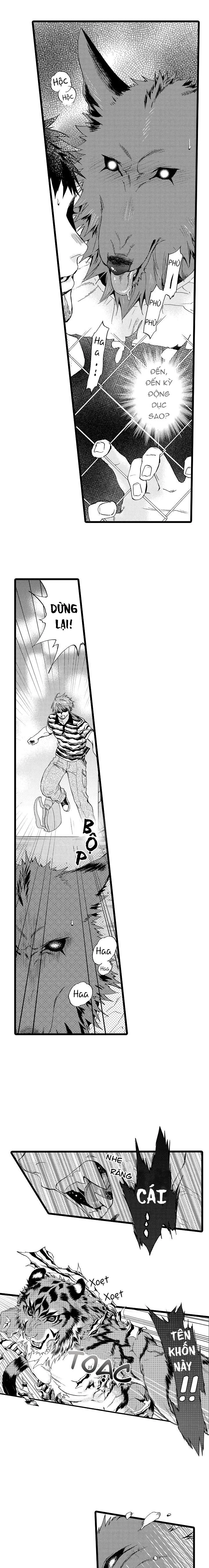 HỔ CÁI CỦA TAIGA Chapter 13 Trang 13