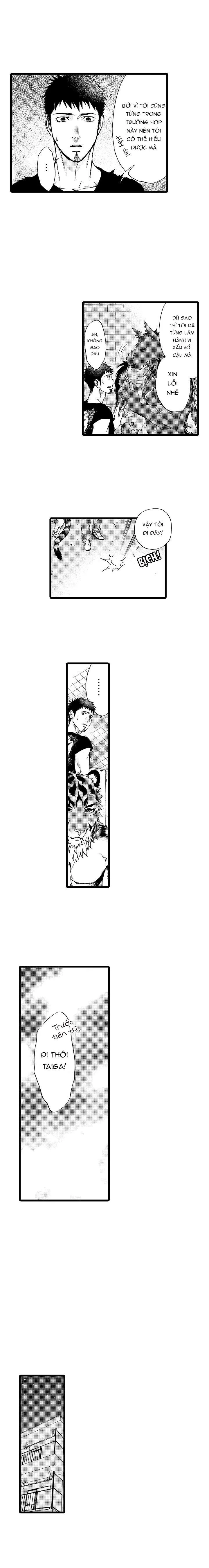 HỔ CÁI CỦA TAIGA Chapter 14 Trang 4