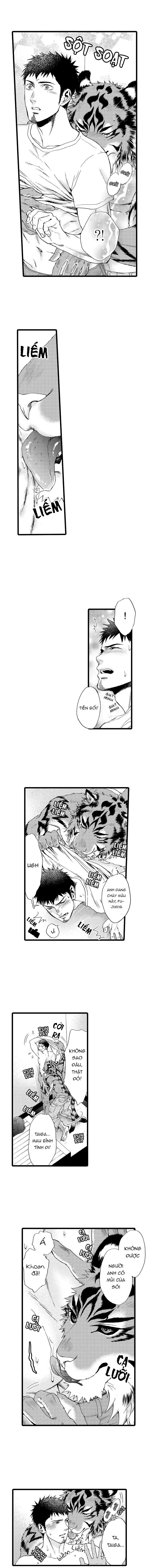 HỔ CÁI CỦA TAIGA Chapter 14 Trang 6