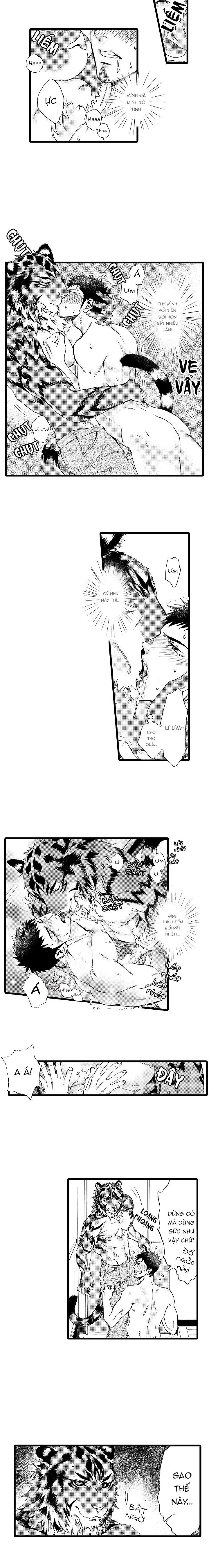 HỔ CÁI CỦA TAIGA Chapter 14 Trang 8