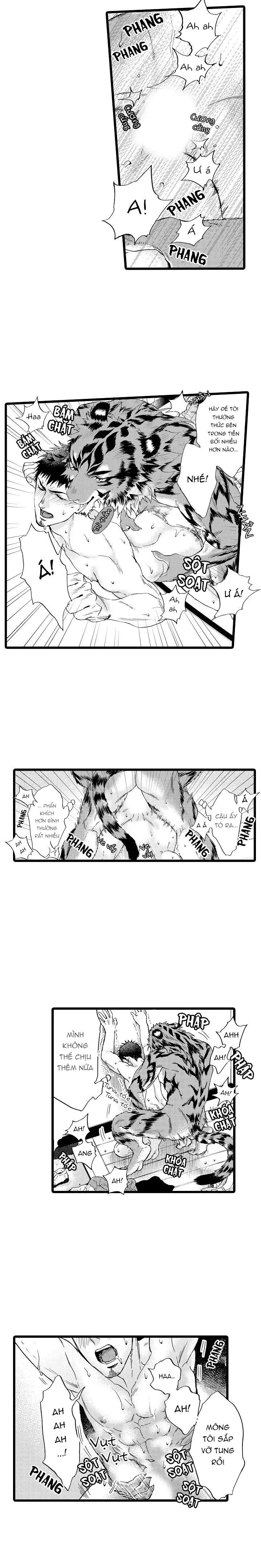 HỔ CÁI CỦA TAIGA Chapter 14 Trang 10