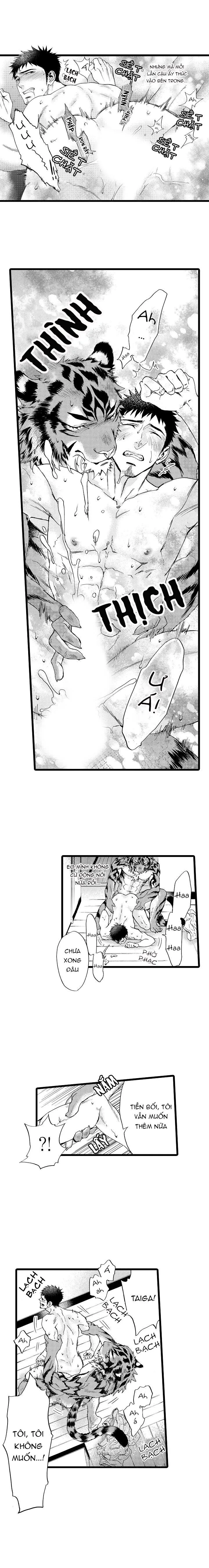 HỔ CÁI CỦA TAIGA Chapter 14 Trang 11