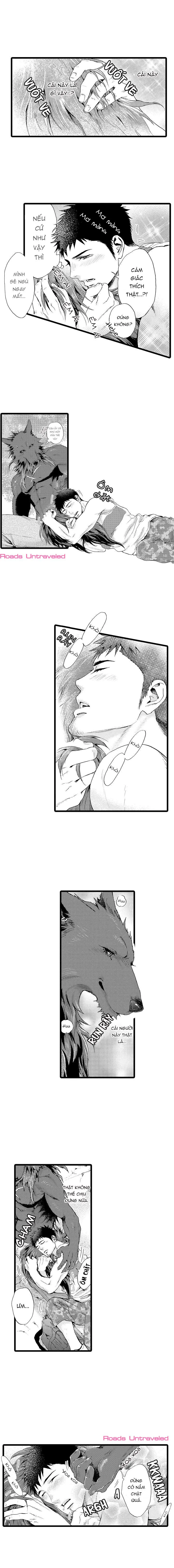 HỔ CÁI CỦA TAIGA Chapter 16 Trang 5