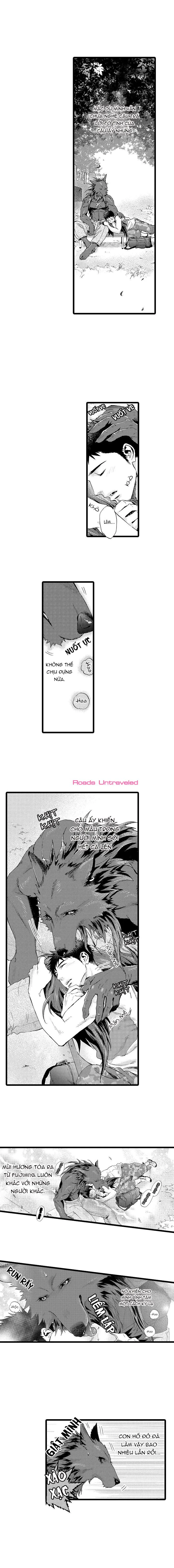 HỔ CÁI CỦA TAIGA Chapter 16 Trang 6