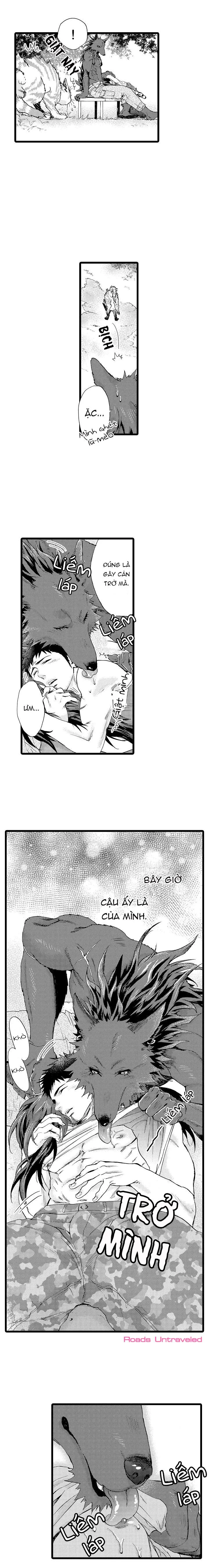 HỔ CÁI CỦA TAIGA Chapter 16 Trang 7