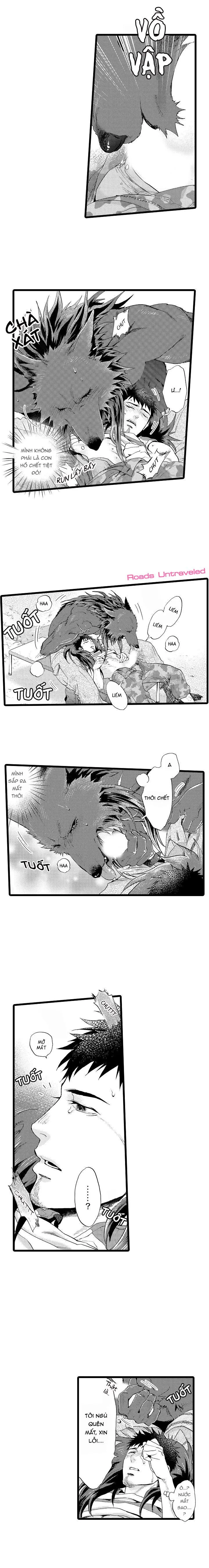 HỔ CÁI CỦA TAIGA Chapter 17 Trang 3