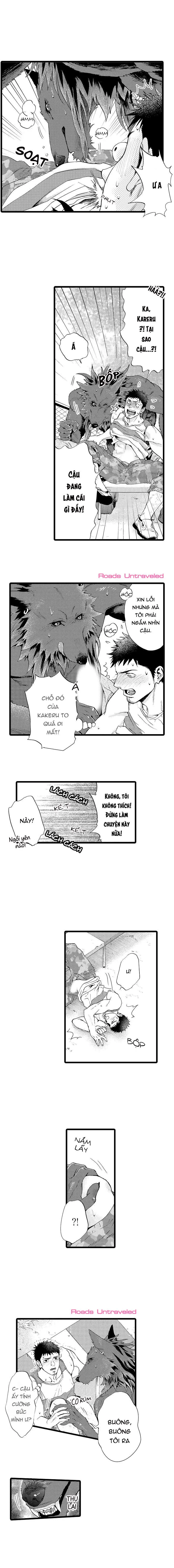 HỔ CÁI CỦA TAIGA Chapter 17 Trang 4