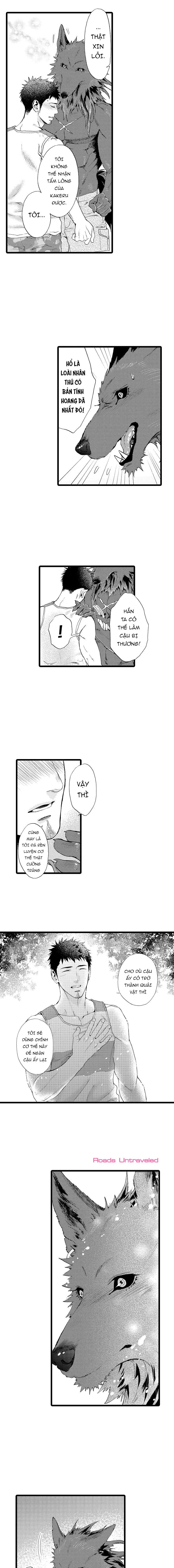 HỔ CÁI CỦA TAIGA Chapter 18 Trang 5