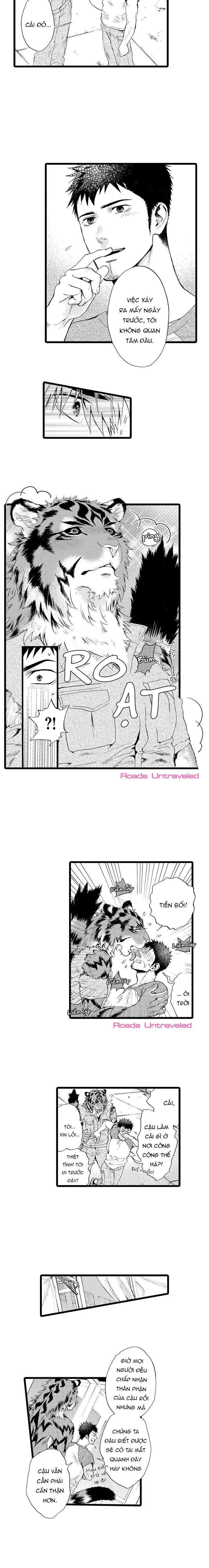 HỔ CÁI CỦA TAIGA Chapter 19 Trang 9