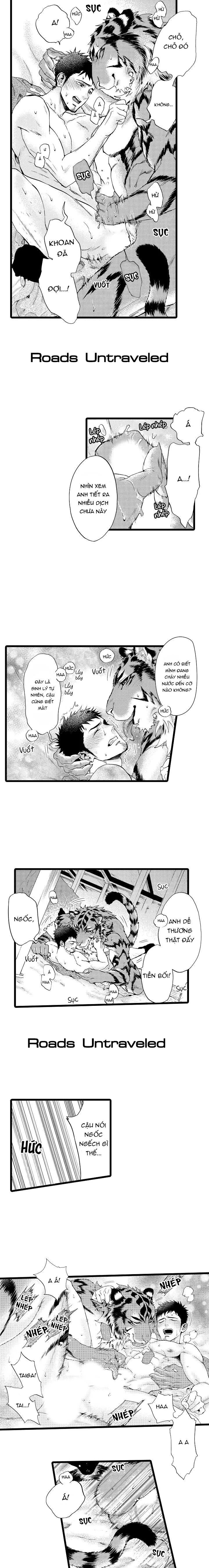 HỔ CÁI CỦA TAIGA Chapter 20 Trang 8