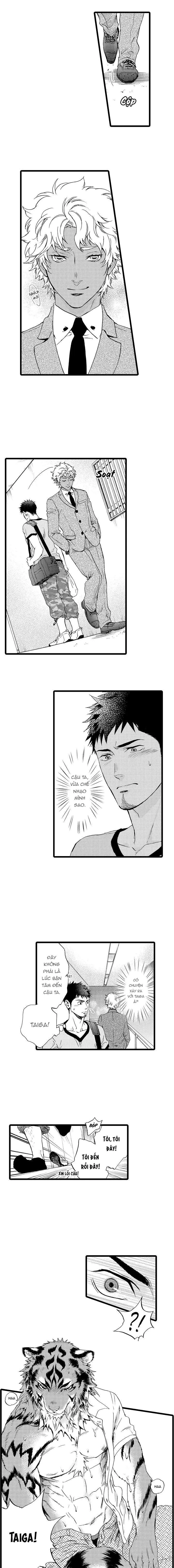 HỔ CÁI CỦA TAIGA Chapter 21 Trang 4