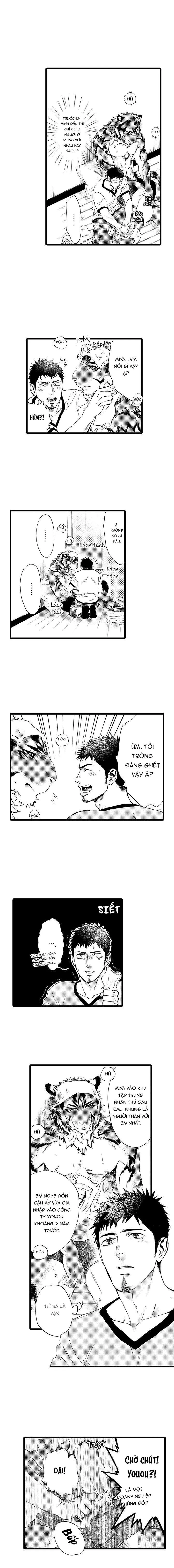 HỔ CÁI CỦA TAIGA Chapter 21 Trang 6