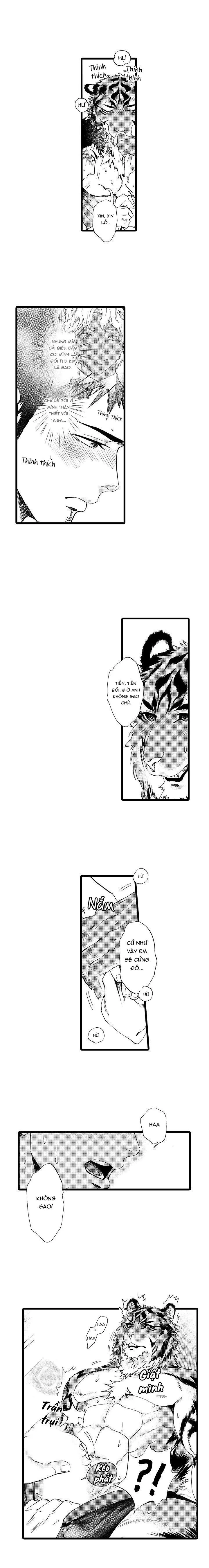 HỔ CÁI CỦA TAIGA Chapter 21 Trang 7