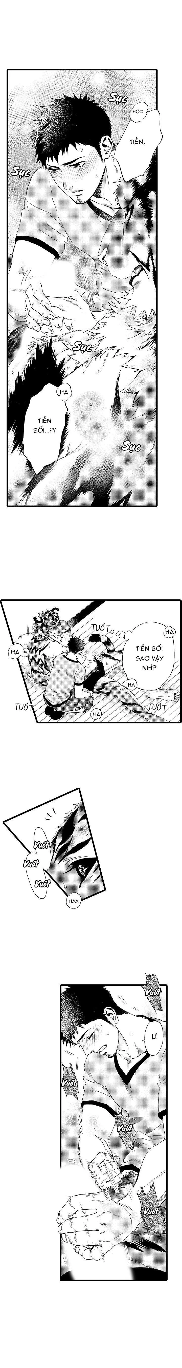 HỔ CÁI CỦA TAIGA Chapter 21 Trang 8