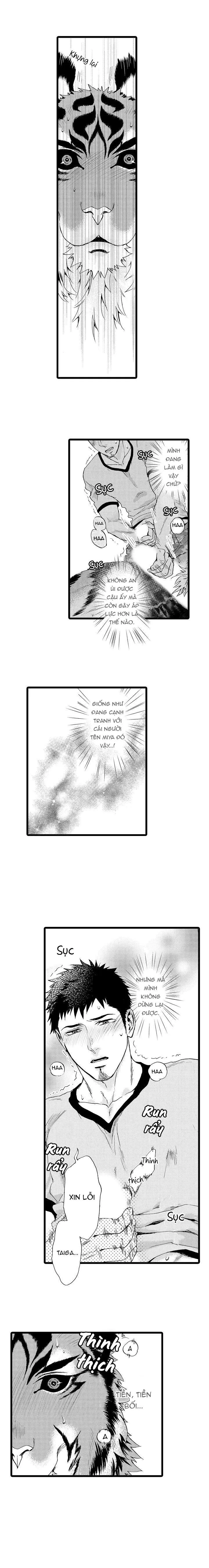 HỔ CÁI CỦA TAIGA Chapter 21 Trang 9