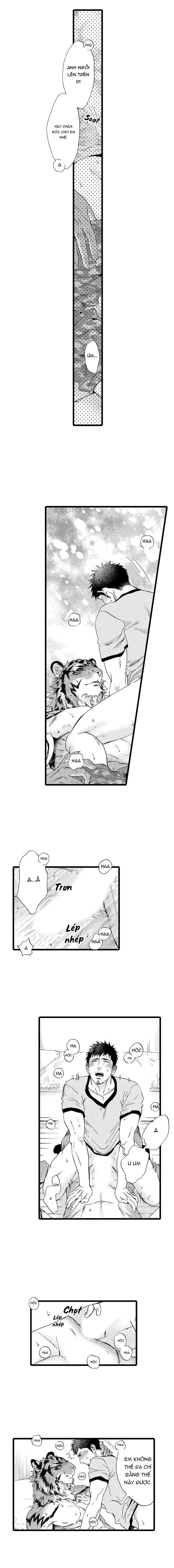 HỔ CÁI CỦA TAIGA Chapter 21 Trang 10