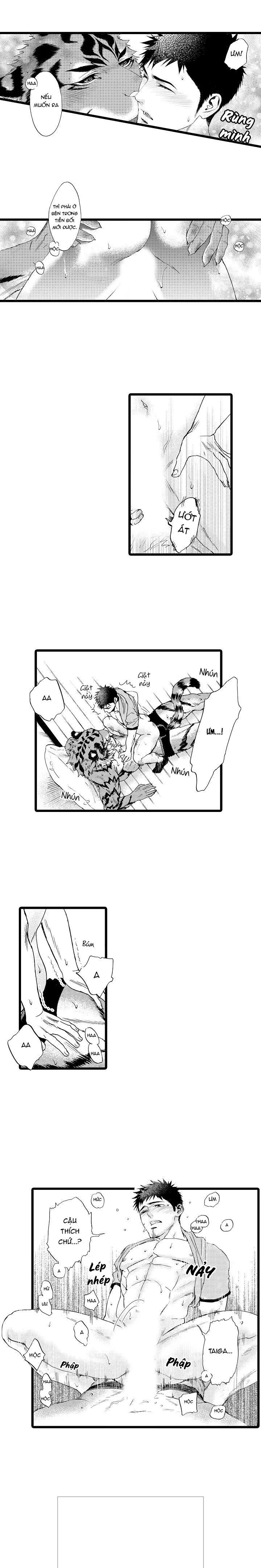 HỔ CÁI CỦA TAIGA Chapter 21 Trang 11