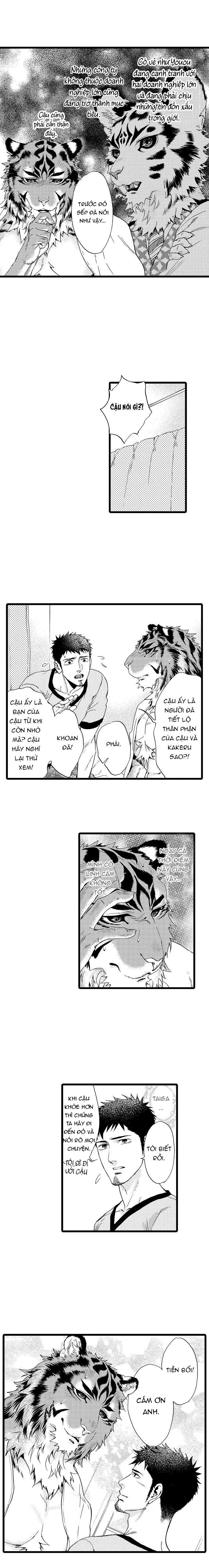 HỔ CÁI CỦA TAIGA Chapter 22 Trang 3