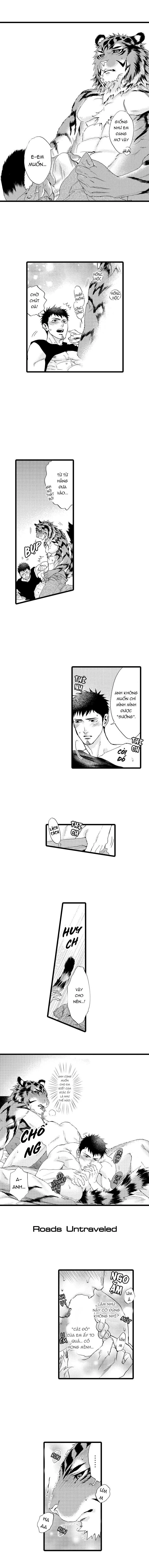 HỔ CÁI CỦA TAIGA Chapter 24 Trang 4