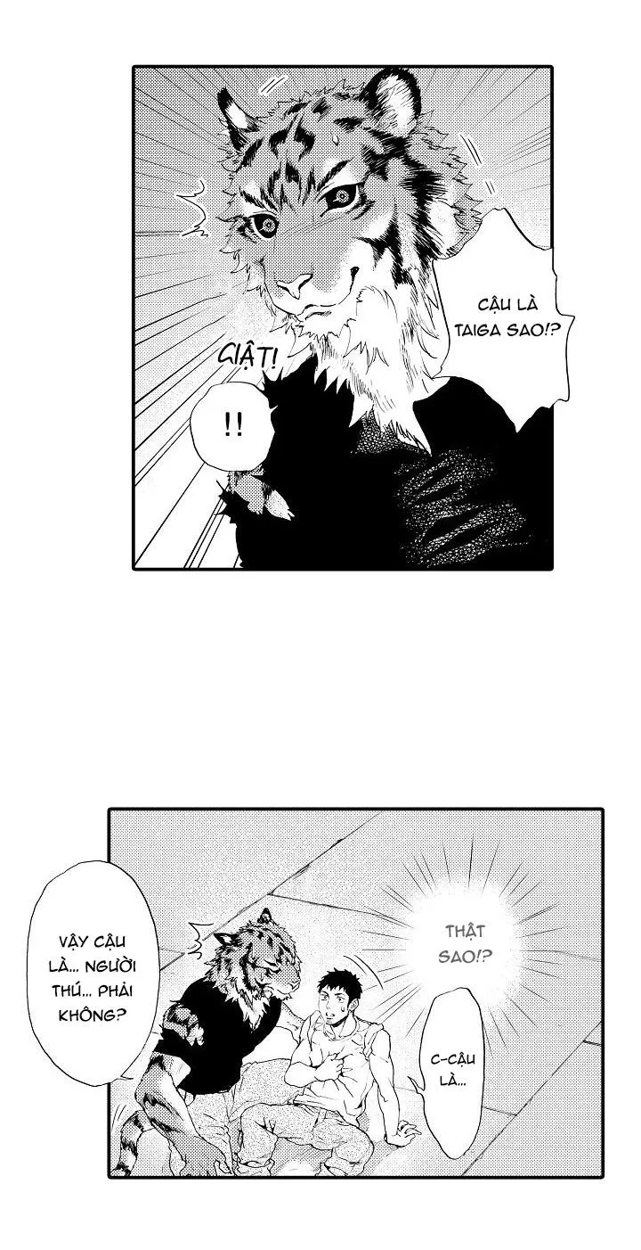 HỔ CÁI CỦA TAIGA Chapter 1 Trang 35