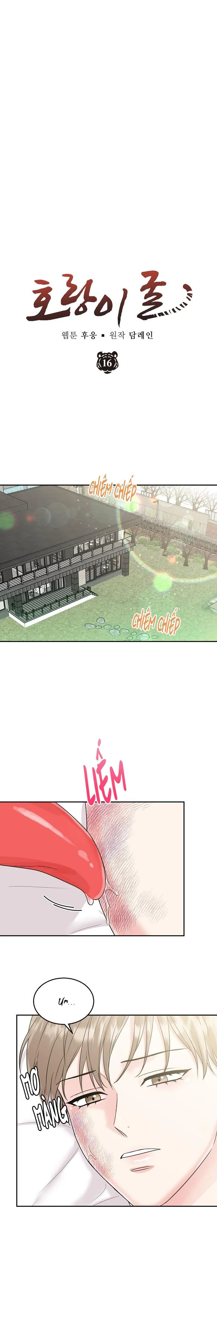 HỔ DỮ Chapter 16 Trang 5