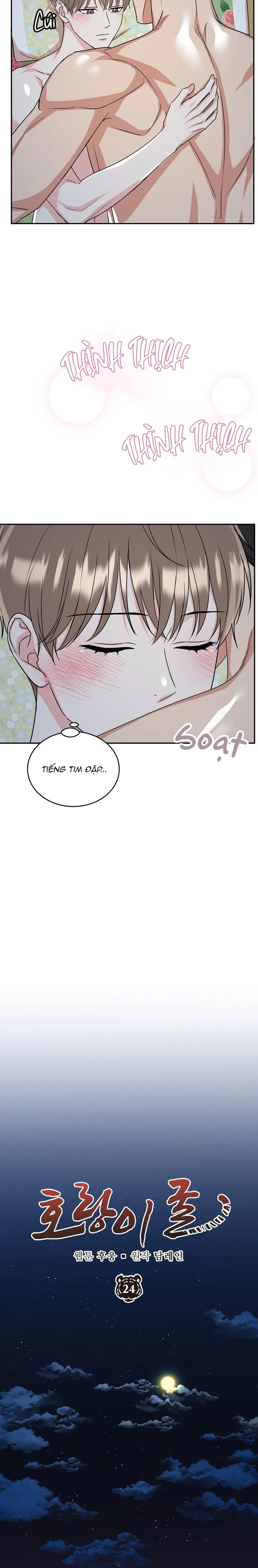 HỔ DỮ Chapter 24 Trang 12