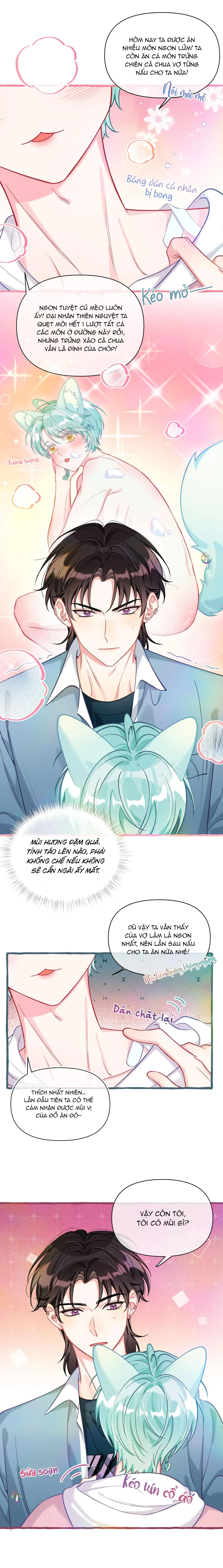 Hồ Ly Hay Là Hồ Dán Vậy? (END) Chapter 17 Trang 7