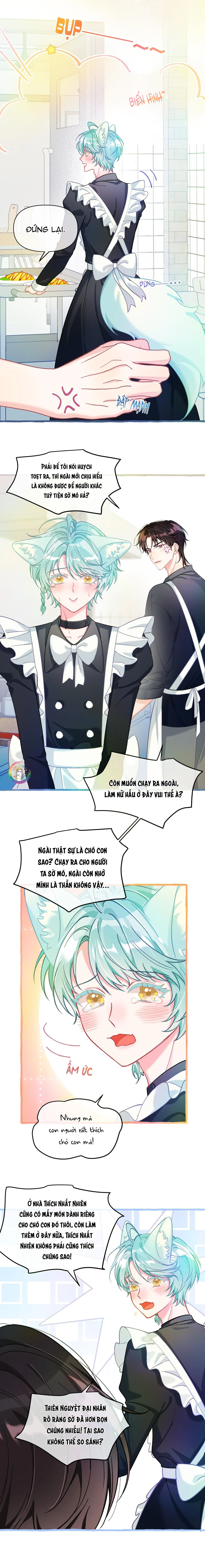 Hồ Ly Hay Là Hồ Dán Vậy? (END) Chapter 24 Trang 3