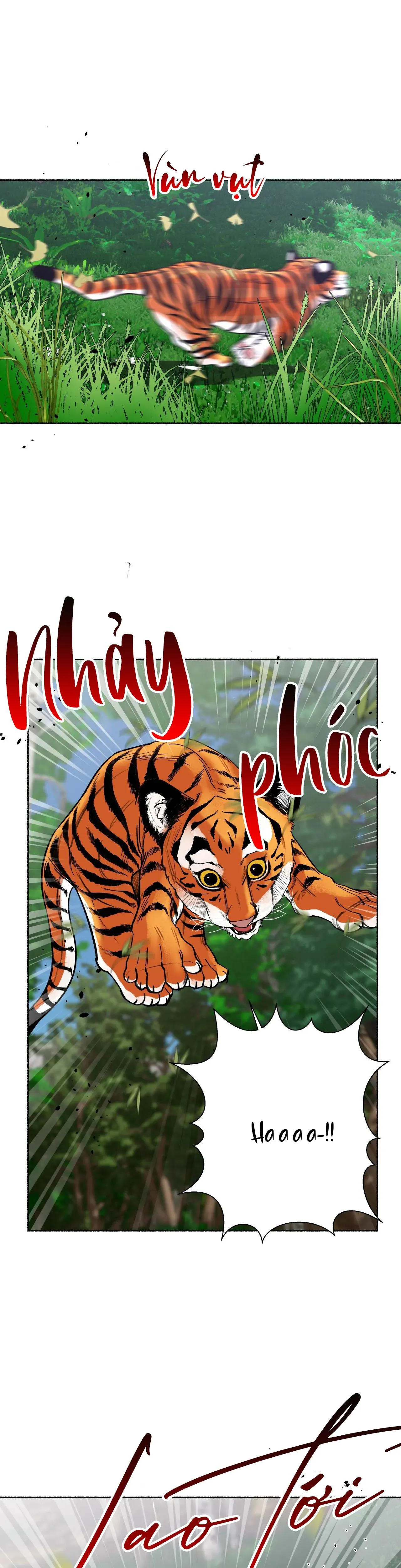 HỔ NGÀN NĂM Chapter 24 Trang 25